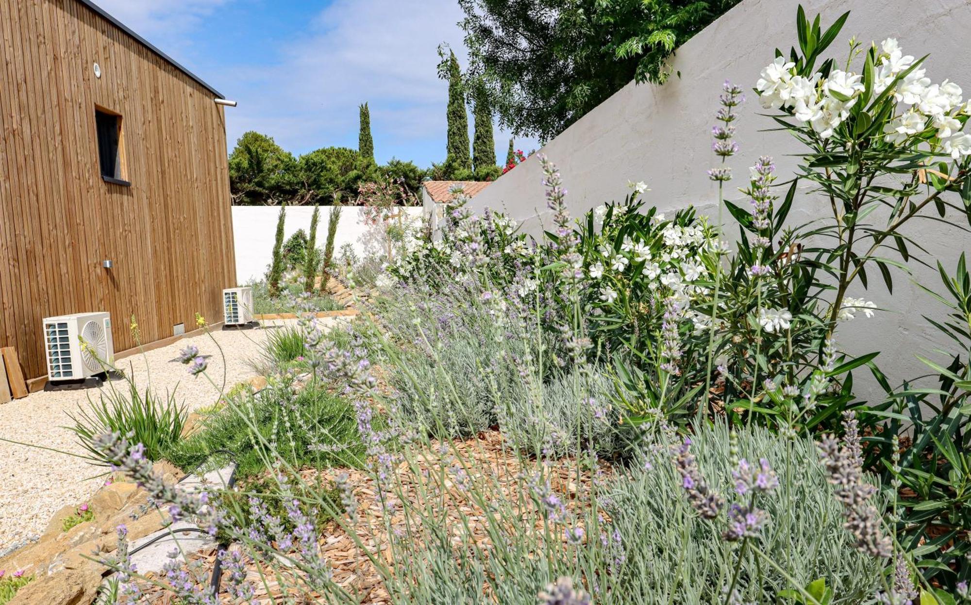 Les Gites De Laure - L'Eden Romantique, Chambres Hotes, Spa Prive, Couloir De Nage, Adults Only Malves-en-Minervois 外观 照片